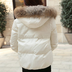 Femme | Doudoune Warm Légère à Capuche | Duvet | 4 Coloris